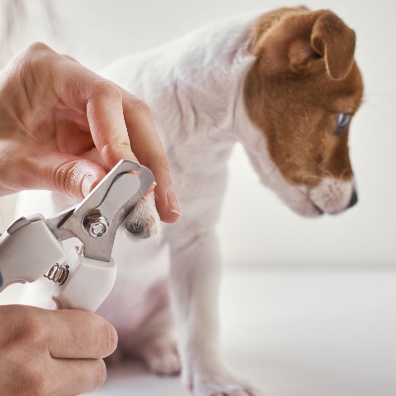 Skraćivanje noktiju